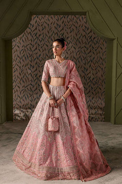 Color block pink lehnga choli