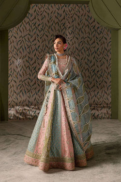 Multicolored lehnga choli