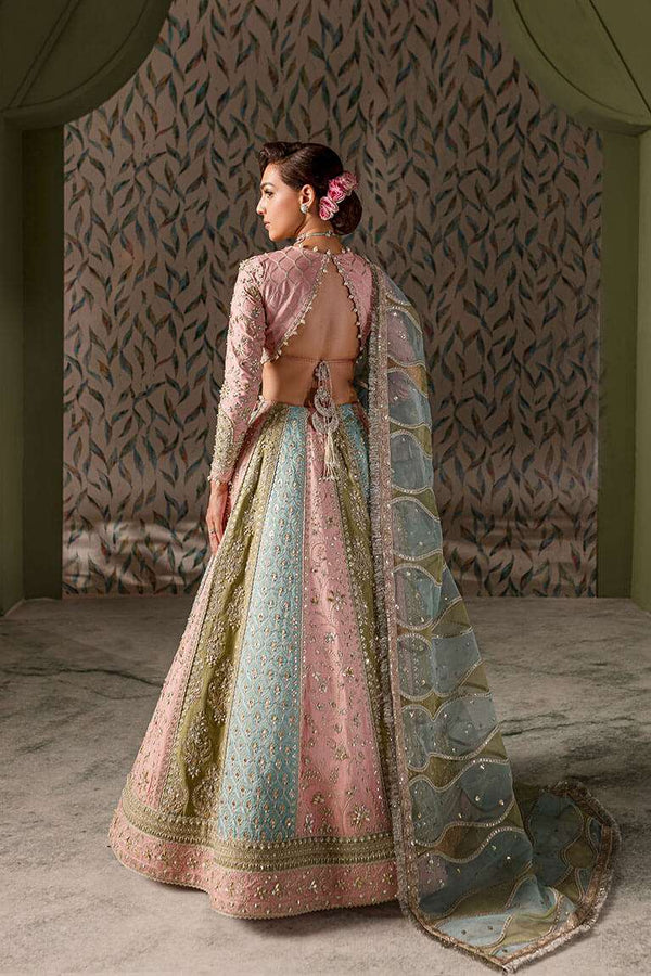 Multicolored lehnga choli